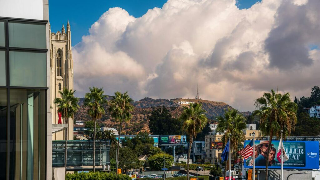 Los Angeles IPW