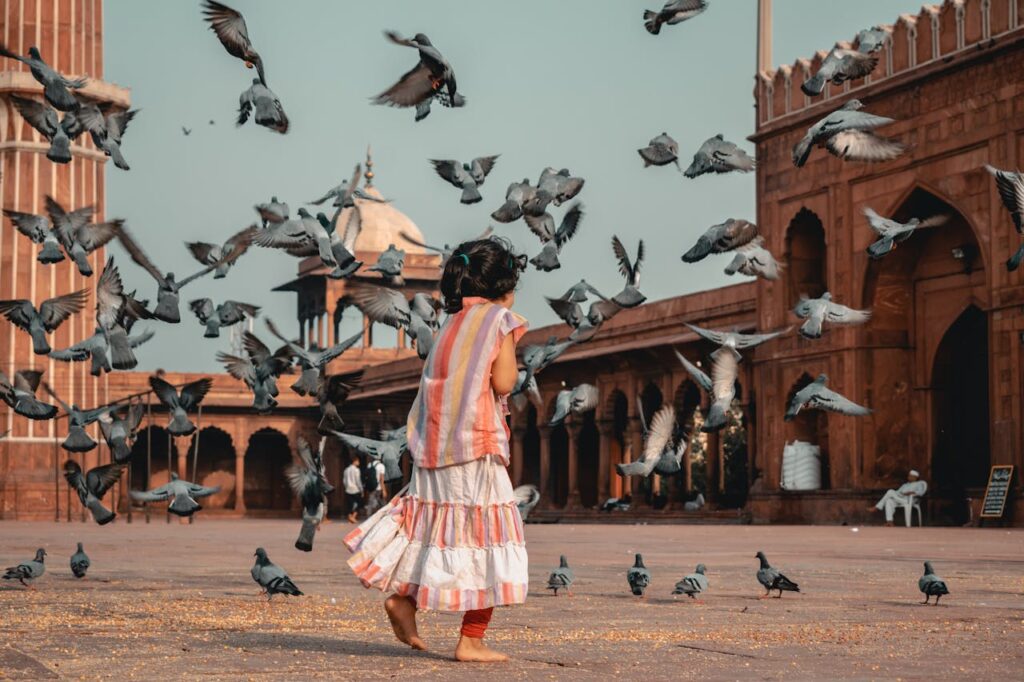 Slow down, tune in, and discover how gratitude transforms the way we travel—one quiet moment at a time.