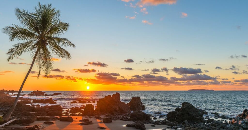 Shutterstock Silhouette of a palm tree and a sand beach