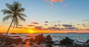 Silhouette of a palm tree and a sand beach