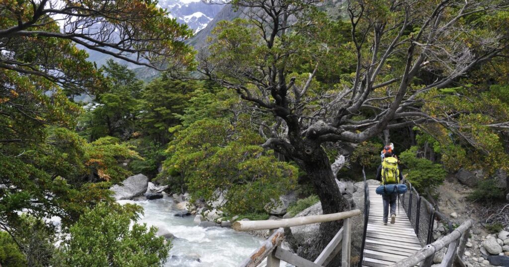 Shutterstock Solo hiker crossing a wooden bridge on a forest trail in Patagonia