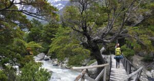 Solo hiker crossing a wooden bridge on a forest trail in Patagonia