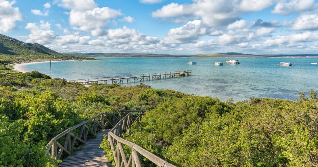 Shutterstock The boardwalk to Kraalbaai at the Langebaan Lagoon on the Atlantic Ocean coast in the Western Cape Province