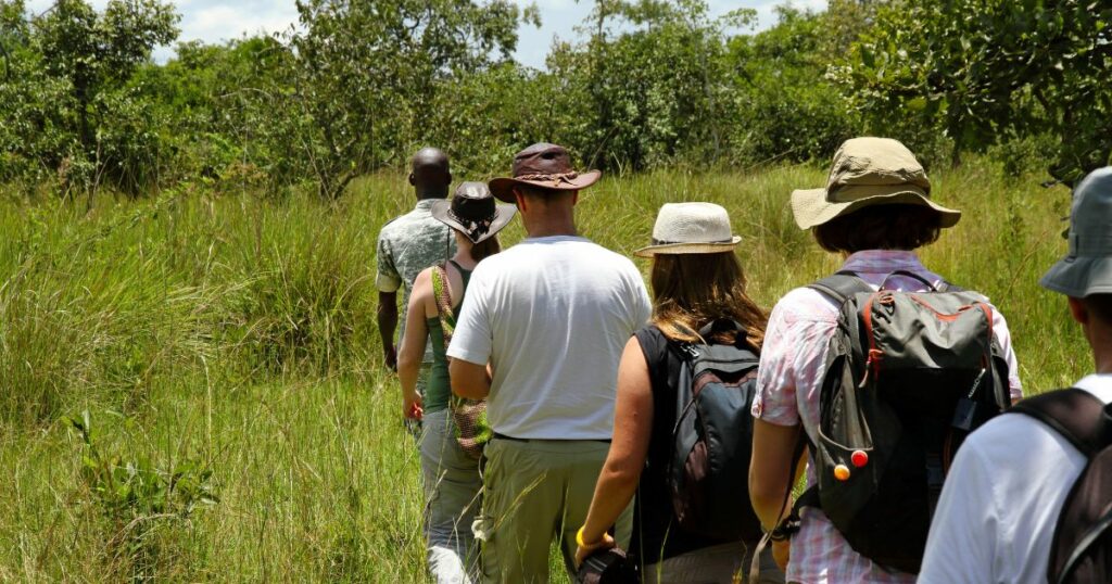 Shutterstock A group of tourists walk single file following a local guide on safari in Ziwa Rhino Sanctuary, Uganda.
