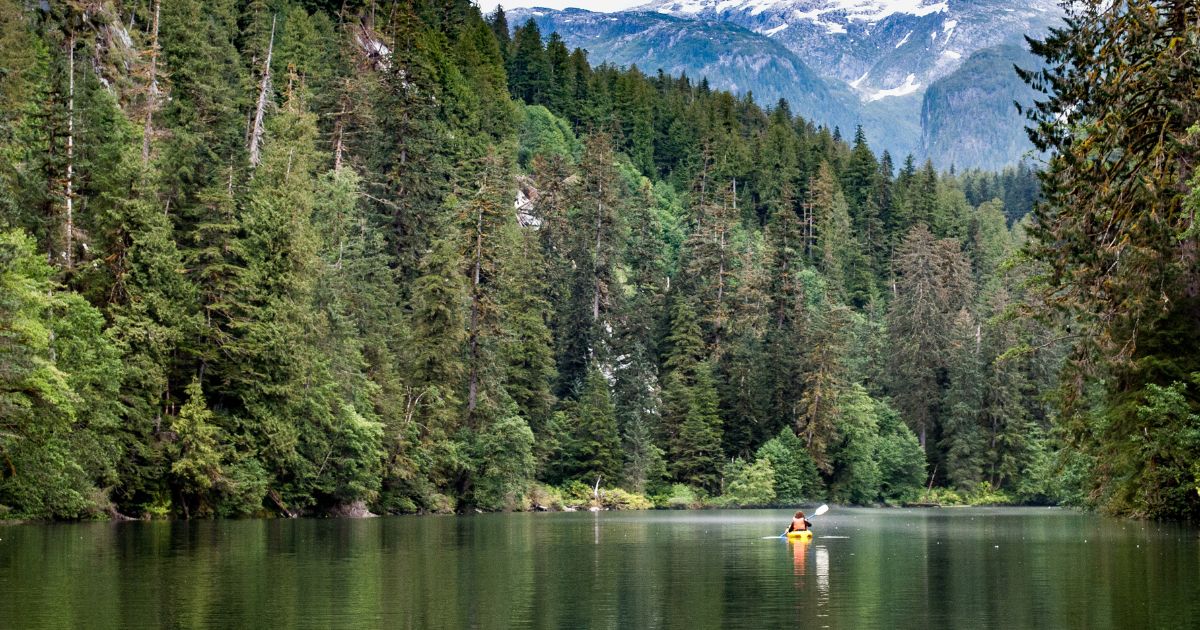 Woman kayaking alone in the Great Bear Rainforest British Columbia, Canada