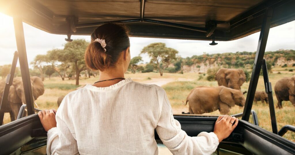 Shutterstock Woman tourist on a safari in Africa, traveling by car with an open roof in Kenya and Tanzania, watching elephants in the savannah. Tarangire National Park.