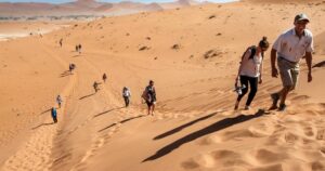 Tourists continue through the Namib Desert National Park in a year that was declared as a drought year by the government in Namibia, Africa