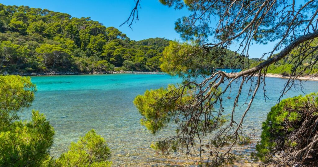 Shutterstock Turquoise water of Veliko Jezero at Mljet national park in Croatia