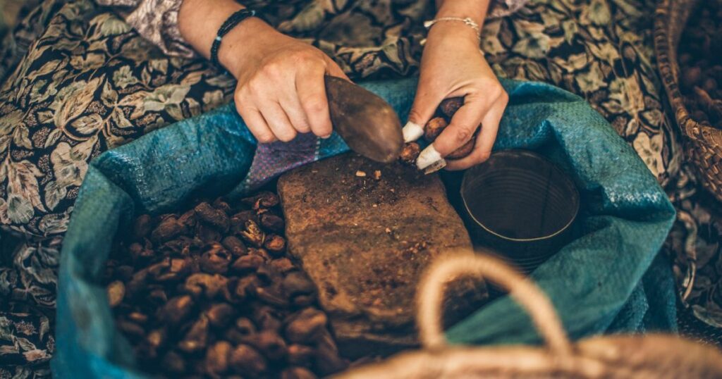 Shutterstock Moroccan woman selecting argan fruits to extract argan oil with the traditional way. Souss Massa, Morocco.