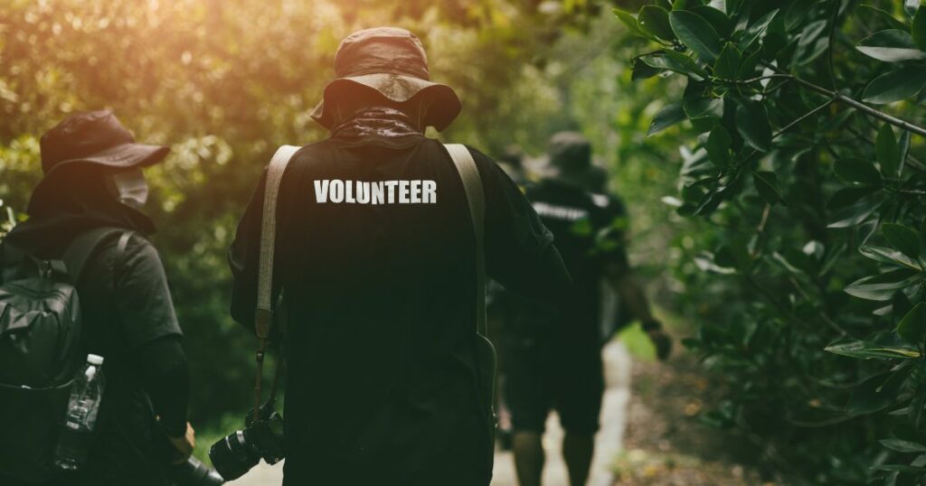 Shutterstock Volunteer working team walking survey in the forest for wildlife photography research and protection.
