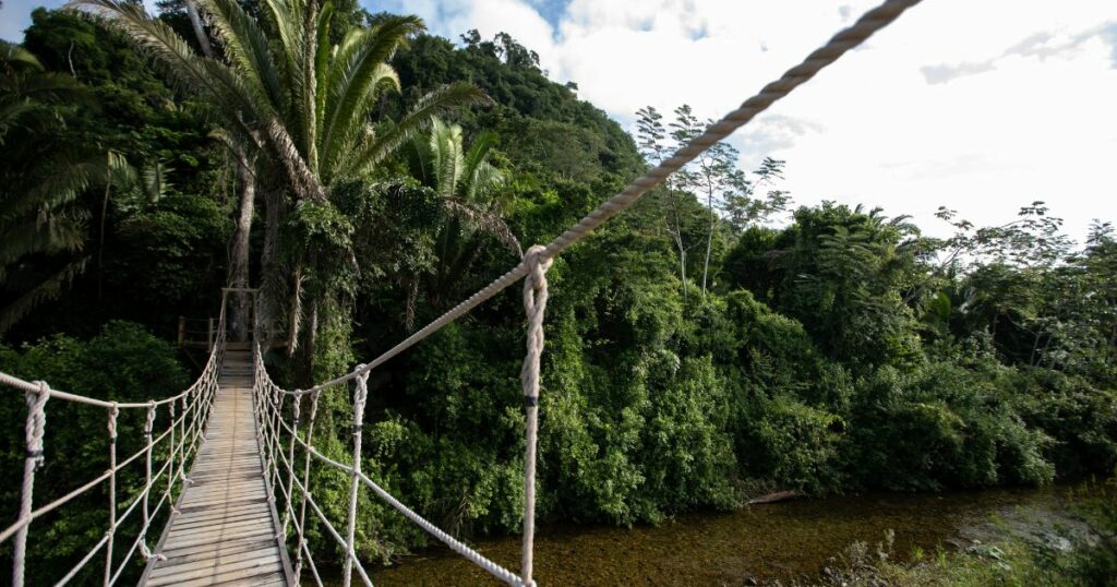 Shutterstock Wooden swing rope bridge over river in the Belize rainforest
