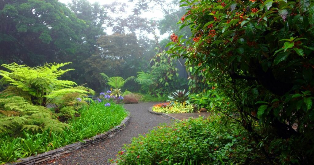 Shutterstock Lush, green botanical garden at an eco-lodge resort in the Monteverde cloud forest in Costa Rica