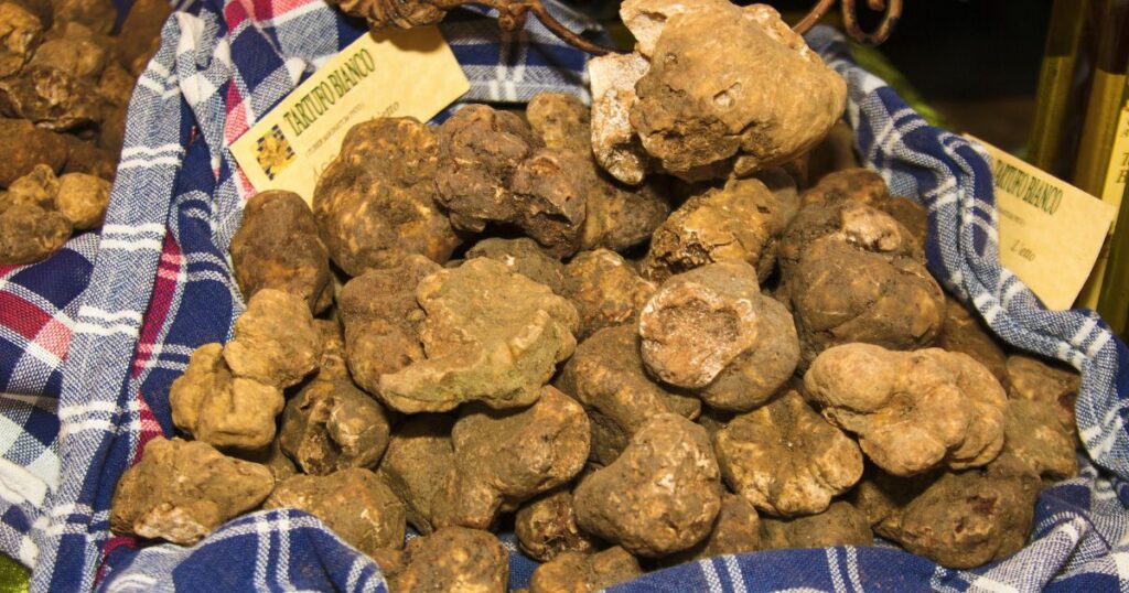 Shutterstock White truffles in Tuscan, Italy