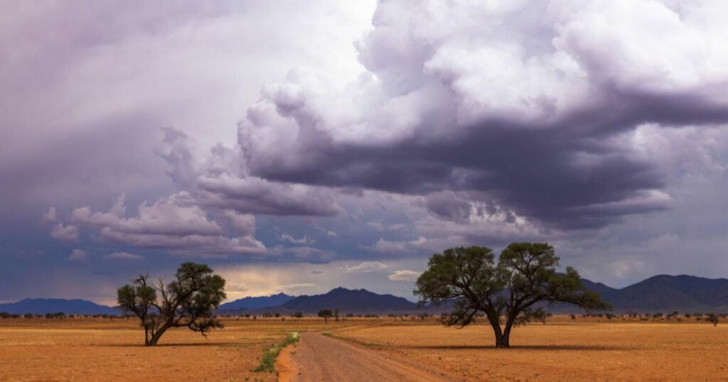 Shutterstock Cumulus clouds build up before the rain comes down in Namibia