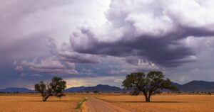 Cumulus clouds build up before the rain comes down in Namibia