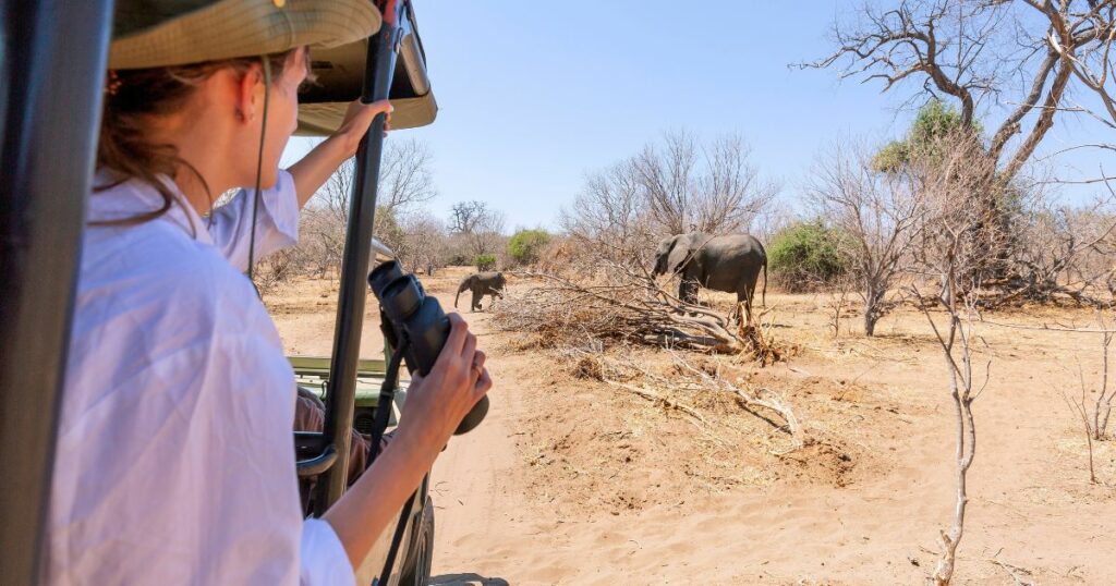 Shutterstock A woman watching an elephant really close out of a car at a safari in Africa