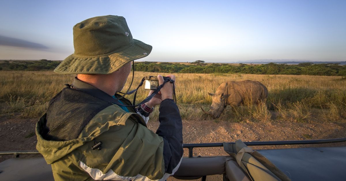A tourist photographs a wild leopard during a safari tour in Kenya