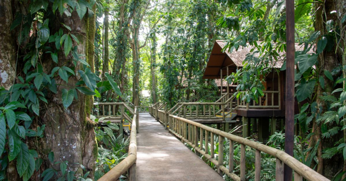 Eco lodge in rainforest at Tortuguero National Park in Costa Rica