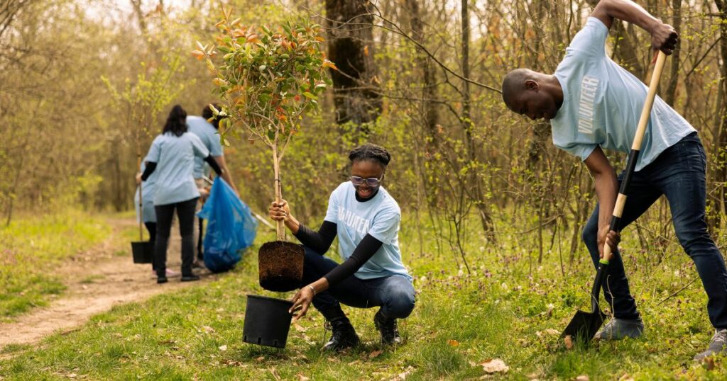 Shutterstock Volunteers team dig holes to plant trees in a woodland ecosystem, putting small greenery in the ground. People doing voluntary work to preserve nature and wildlife, environmental care.