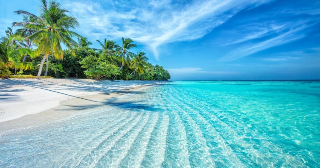 Shutterstock Sea water waves with palm trees in Maldives
