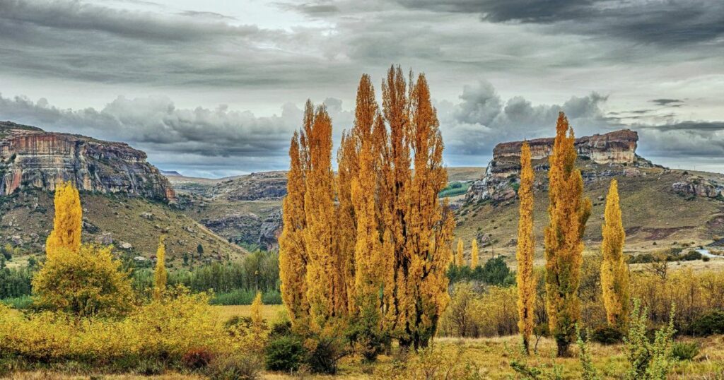 Shutterstock Autumn in Clarens, South Africa