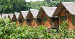 Eco-Lodge located in the heart of the Peruvian Amazon rainforest