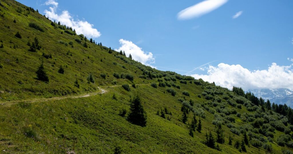 Shutterstock The serene beauty of Verbier, Switzerland, with stunning summer mountain landscapes