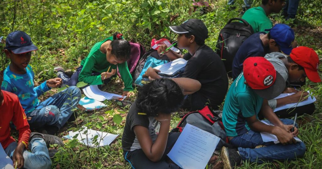 Shutterstock Students doing activities in a forest. This photo shows people activity.