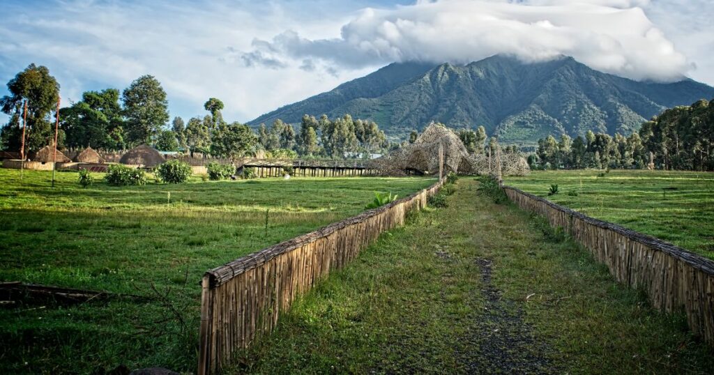 Shutterstock The trekking path on the slopes of the mountain leading into the thick forest towards the gorilla families, lenticular cloud.