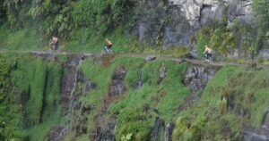 Adventurous bikers riding along the narrow road