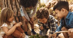 Children in forest looking at leaves as a researcher together with the magnifying glass.