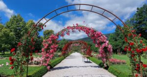 Botanical garden. Maribor. Slovenia