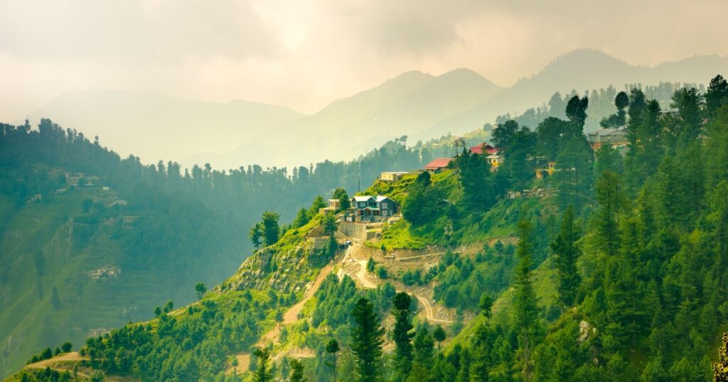 Nature in Murree Ayubia Pakistan, green tree landscape
