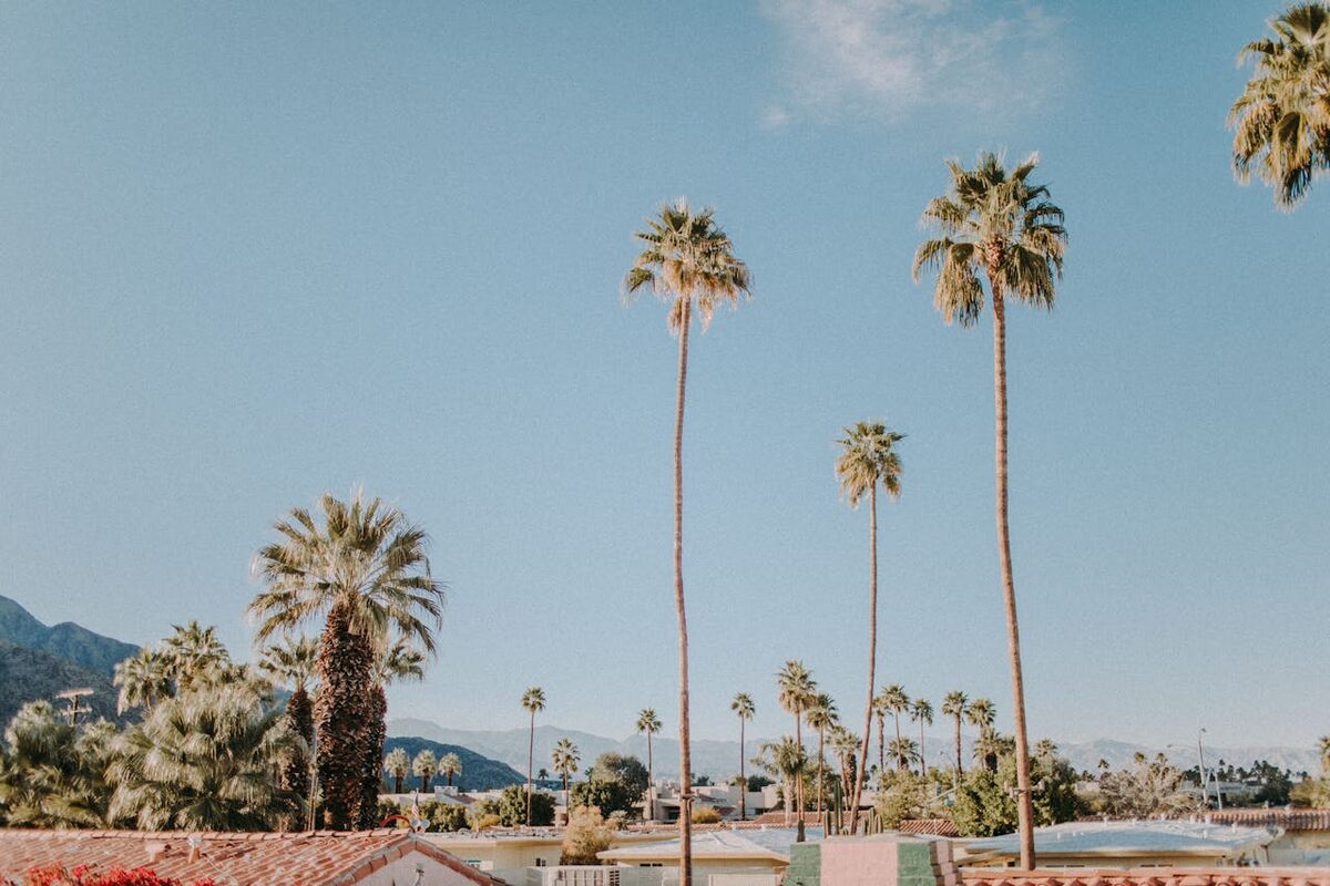 Checking In Where the Stars Checked Out: An Escape to Palm Springs