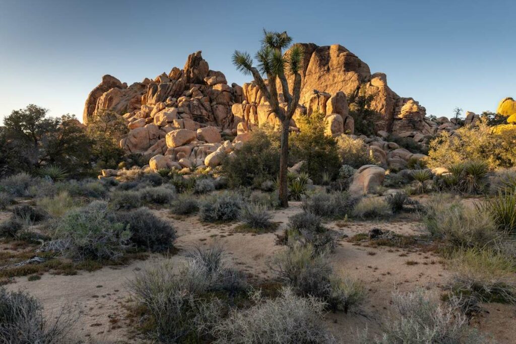 Checking In Where the Stars Checked Out: An Escape to Palm Springs