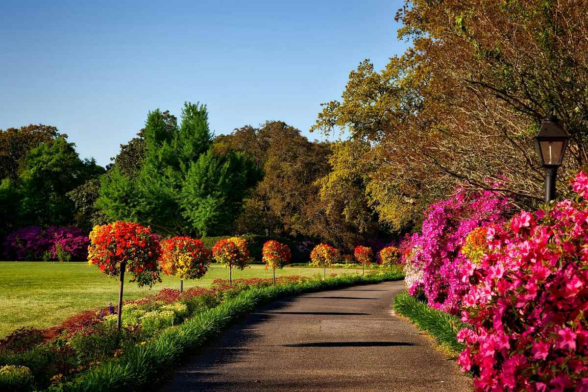 Flower Power: Blooming Festivals That Celebrate Nature Without Waste
