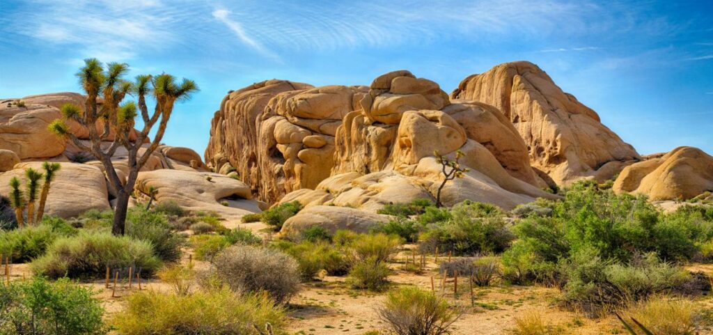 10 Must-Do Experiences for First-Time Visitors to Palm Springs