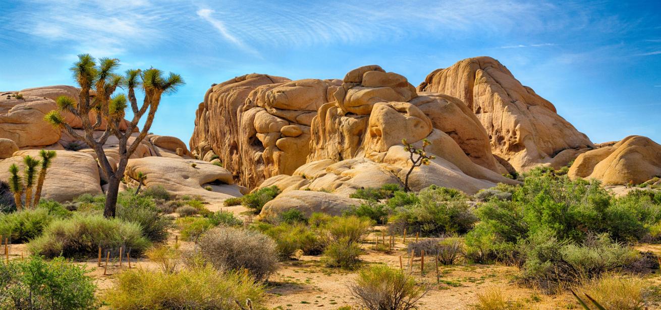 10 Must-Do Experiences for First-Time Visitors to Palm Springs
