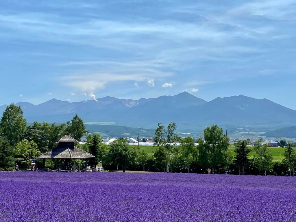 Flower Power: Blooming Festivals That Celebrate Nature Without Waste