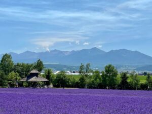 Flower Power: Blooming Festivals That Celebrate Nature Without Waste