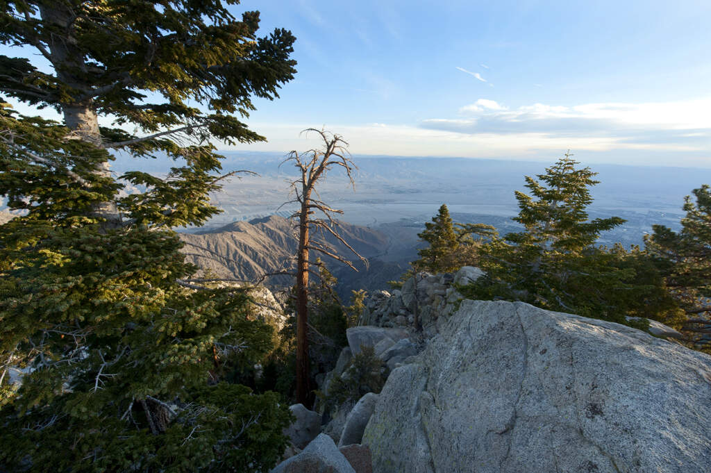 10 Must-Do Experiences for First-Time Visitors to Palm Springs