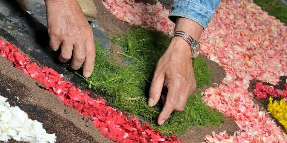 Flower Power: Blooming Festivals That Celebrate Nature Without Waste