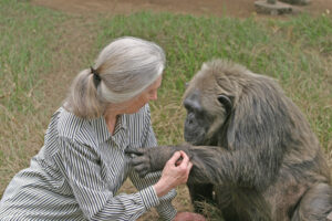 Ethical zoos and wildlife sanctuaries