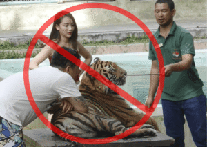 Ethical zoos and wildlife sanctuaries