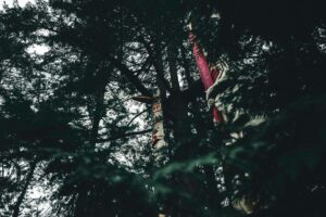 eco-friendly travel tips