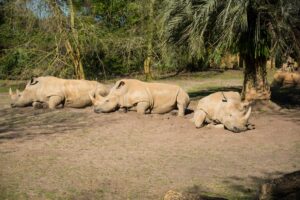 Ethical zoos and wildlife sanctuaries