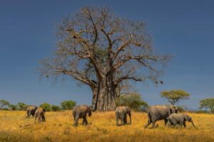 Ethical zoos and wildlife sanctuaries