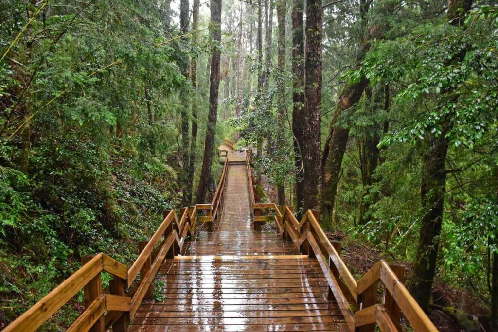 eco-friendly travel tips