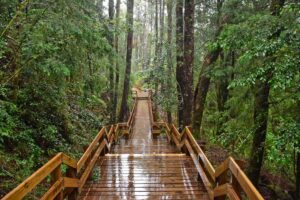 eco-friendly travel tips
