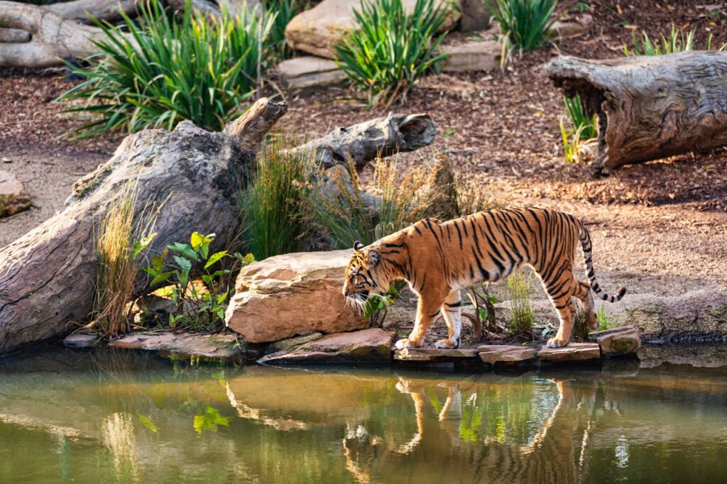 Ethical zoos and wildlife sanctuaries